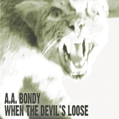 A.A. Bondy: When the Devil's Loose { Vinyl }