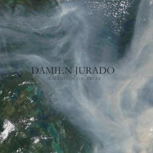 Damien Jurado: Caught in the Trees { Vinyl }