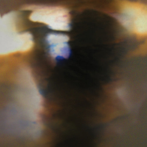 Animal Collective: Fall Be Kind { Vinyl }