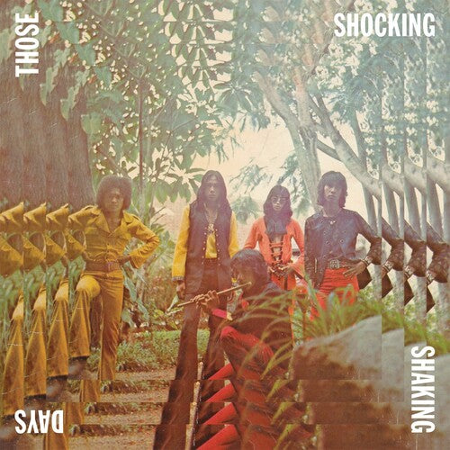 Various Artists: Those Shocking Shaking Days { Vinyl }