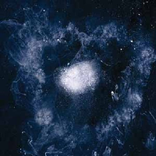 Swans: My Father Will Guide Me Up a Rope to the Sky { Vinyl }