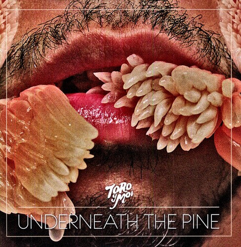 Toro y Moi: Underneath the Pine { Vinyl }