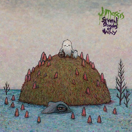 J Mascis: Several Shades of Why { Vinyl }
