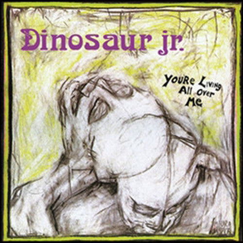 Dinosaur Jr.: You're Living All Over Me { Vinyl }