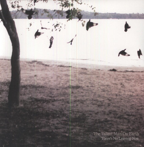 The Tallest Man on Earth: There's No Leaving Now { Vinyl }