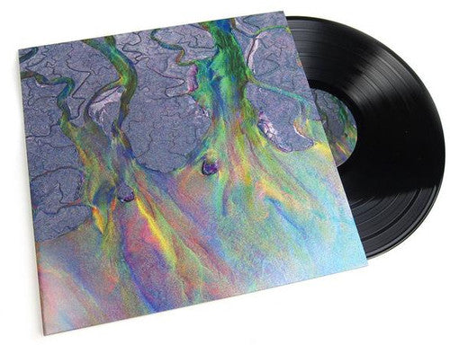 Alt-J: An Awesome Wave { Vinyl }