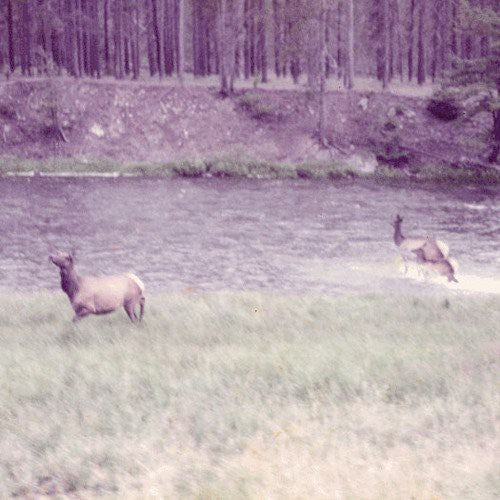 Seahaven: Ghost + Acoustic Sessions { Vinyl }