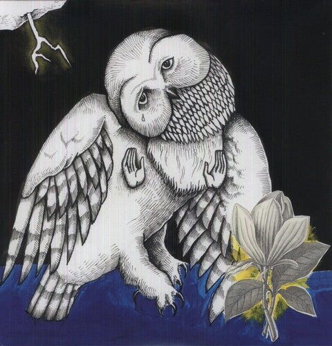 Songs: Ohia: Magnolia Electric Company Co { Vinyl }