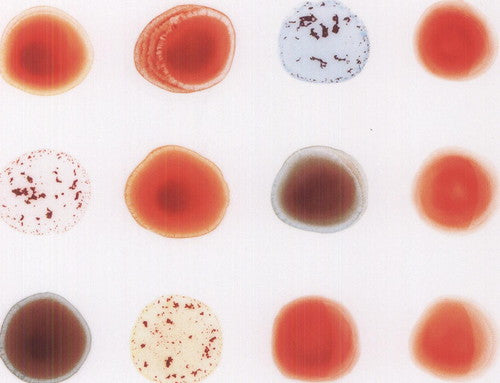 Peter Gabriel: Scratch My Back & I'll Scratch Yours { Vinyl }