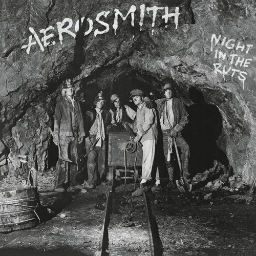 Aerosmith: Night in the Ruts { Vinyl }