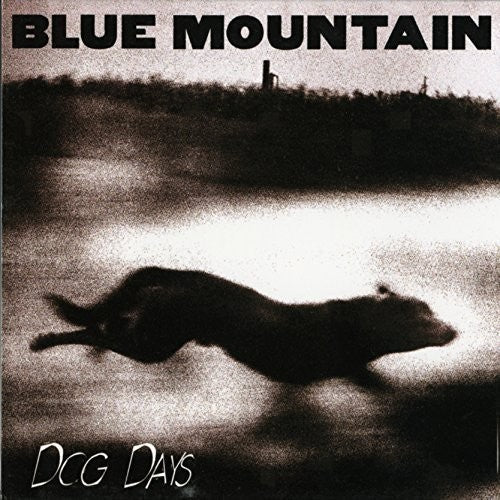 Blue Mountain: Dog Days { Vinyl }