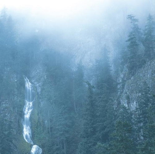 Wolves in the Throne Room: Diadem Of 12 Stars { Vinyl }