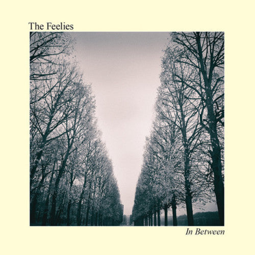 The Feelies: In Between { Vinyl }