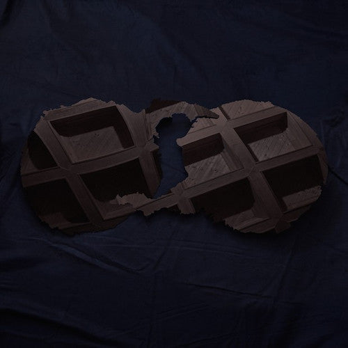 Dirty Projectors: Dirty Projectors { Vinyl }