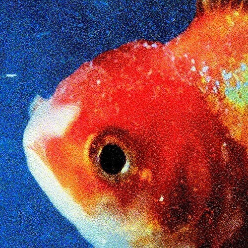 Vince Staples: Big Fish Theory { Vinyl }