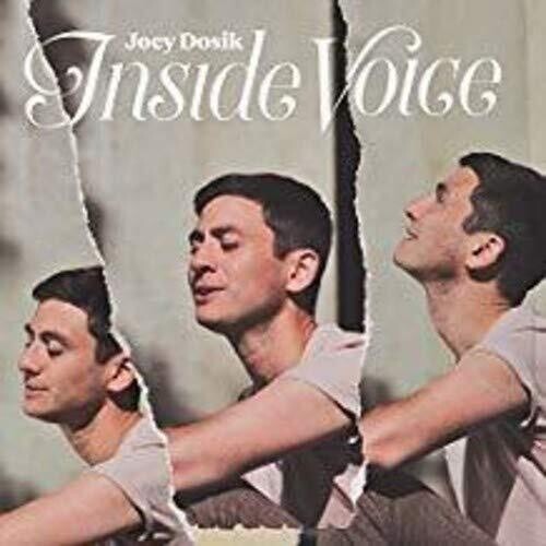 Joey Dosik: INSIDE VOICE { Vinyl }