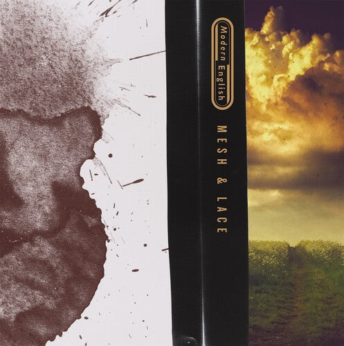 Modern English: Mesh & Lace { Vinyl }
