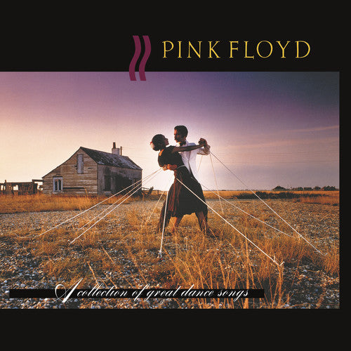 Pink Floyd: A Collection Of Great Dance Songs { Vinyl }