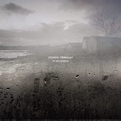 Joshua Trinidad: In November { Vinyl }