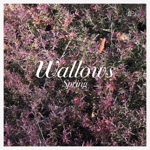 Wallows: Spring { Vinyl }
