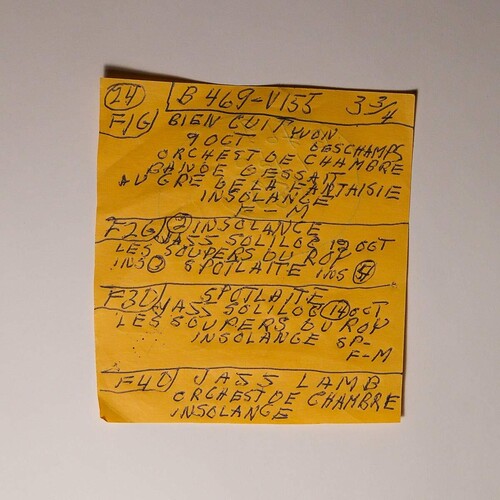 Mac DeMarco: Here Comes The Cowboy Demos { Vinyl }