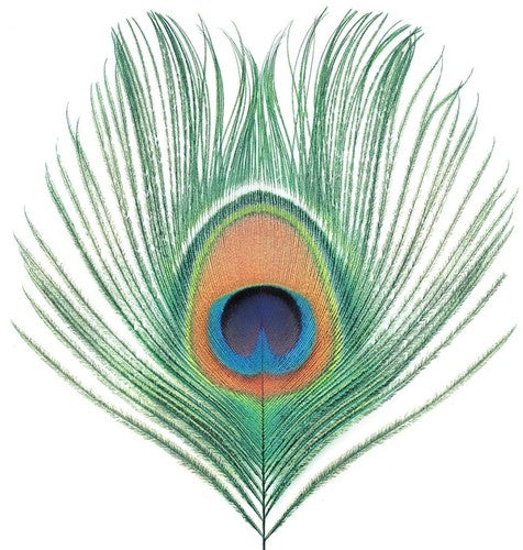 XTC: Apple Venus Vol 1 { Vinyl }