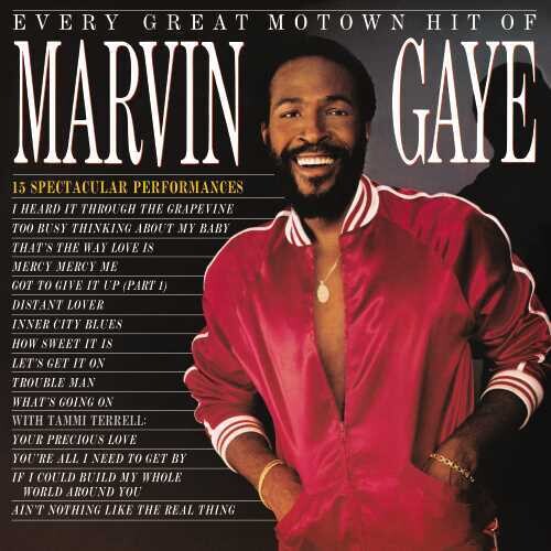 Marvin Gaye: Every Great Motown Hit Of Marvin Gaye: 15 Spectacular Performances { Vinyl }