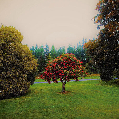 The Bats: Foothills { Vinyl }