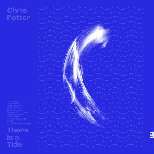 Potter, Chris: There Is A Tide { Vinyl }