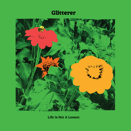 Glitterer: Life Is Not A Lesson { Vinyl }