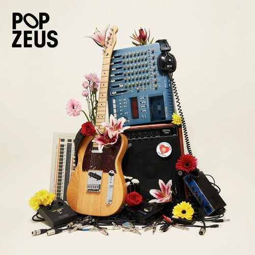 Pop Zeus: This Doesn't Feel Like Home (Unreleased Demos 2011-2014) { Vinyl }