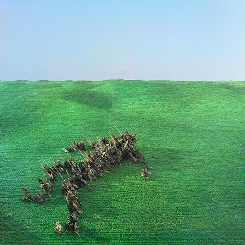 Squid: Bright Green Field { Vinyl }