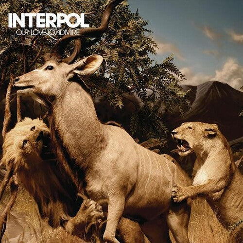 Interpol: Our Love To Admire { Vinyl }