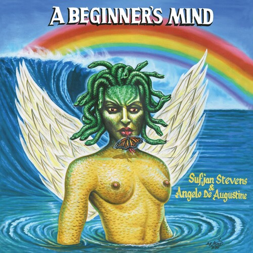 Sufjan Stevens: A Beginner's Mind { Vinyl }