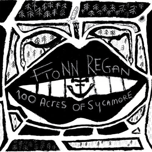 Fionn Regan: 100 Acres Of Sycamore { Vinyl }