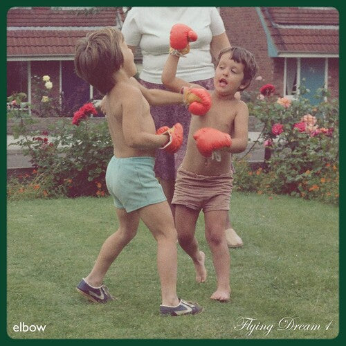 Elbow: Flying Dream 1 { Vinyl }