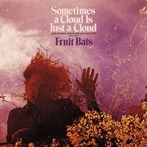 Fruit Bats: Sometimes a Cloud Is Just a Cloud: Slow Growers, Sleeper Hits and Lost Songs (2001–2021) { Vinyl }