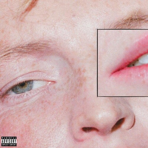 Greeting Committee: Dandelion { Vinyl }