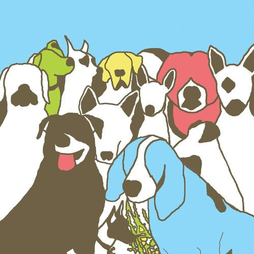 The Format: Dog Problems { Vinyl }