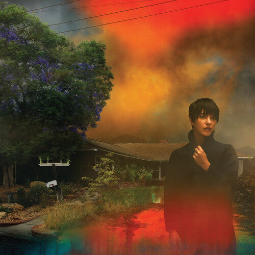 Sharon Van Etten: We've Been Going About This All Wrong - Marbled Smoke Vinyl { Vinyl }
