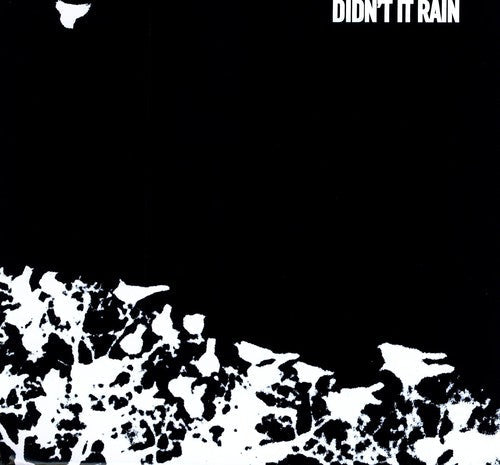 Songs: Ohia: Didn't It Rain { Vinyl }