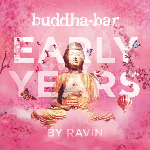 Various Artists: Buddha Bar: Early Years / Various { Vinyl }
