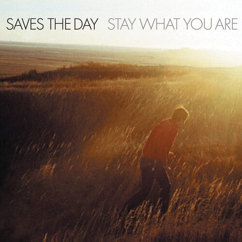 Saves the Day: Stay What You Are { Vinyl }