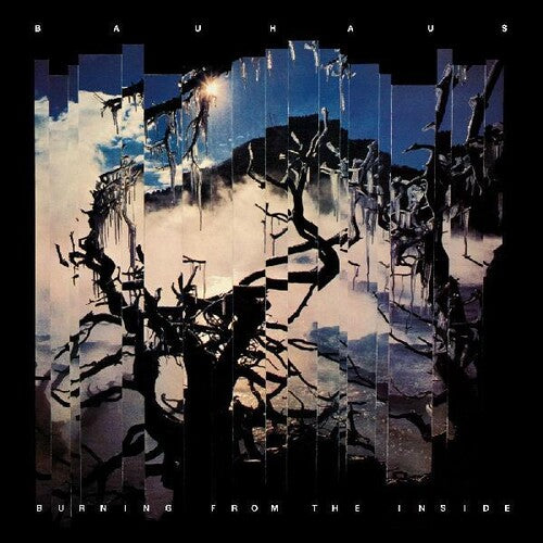 Bauhaus: Burning From The Inside { Vinyl }