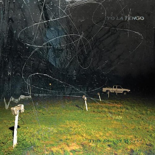 Yo La Tengo: This Stupid World { Vinyl }
