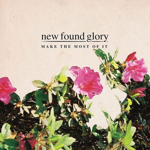 New Found Glory: Make The Most Of It { Vinyl }