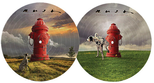 Rush: Signals (40th Anniversary) { Vinyl }