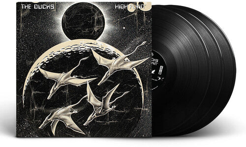 Ducks: High Flyin { Vinyl }