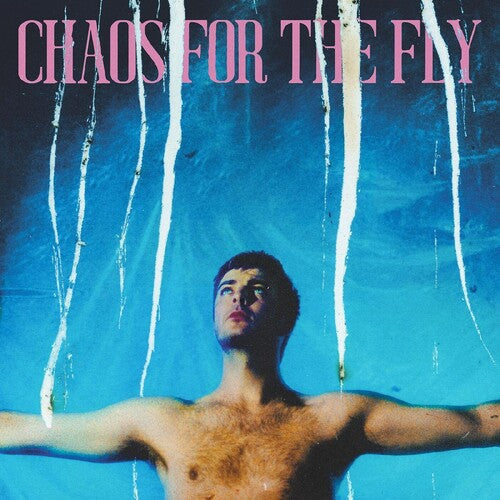 Grian Chatten: Chaos For The Fly { Vinyl }