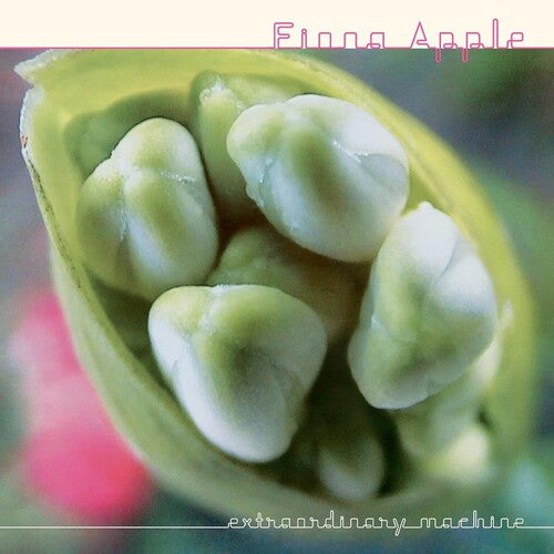 Fiona Apple: Extraordinary Machine { Vinyl }